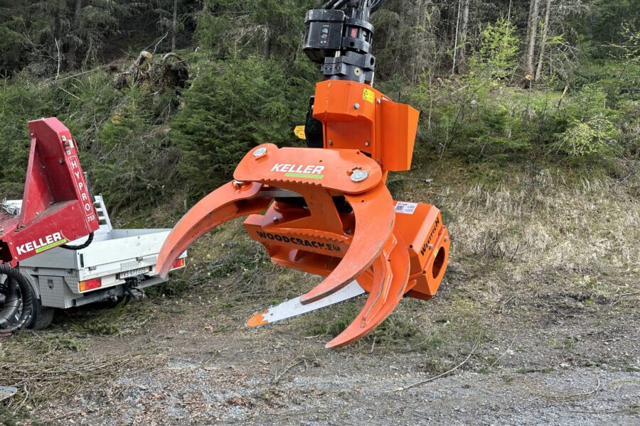 Woodcracker